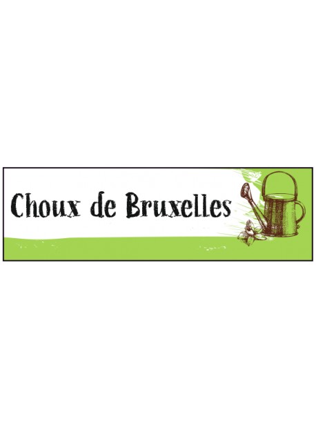 Étiquette Choux de Bruxelles graine potager