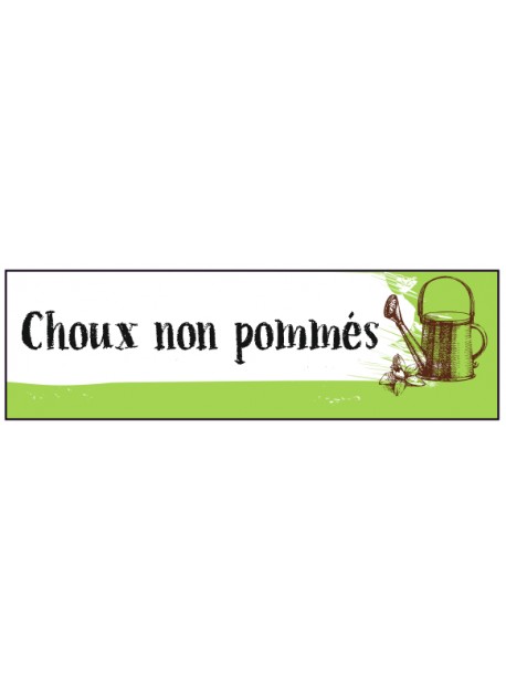 Étiquette Choux non pommés potager