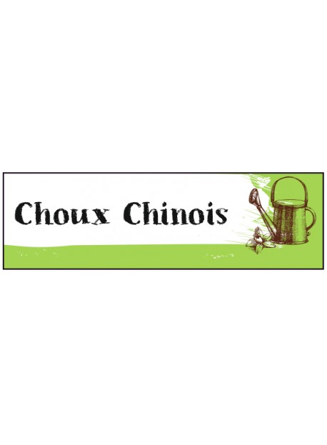 Étiquette Choux chinois graine potager