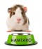 Sticker prénom gamelle hamster