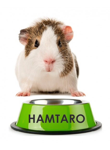 Sticker prénom gamelle hamster