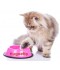 Sticker prénom gamelle chat