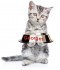 Sticker prénom gamelle chat