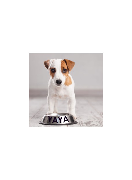 Sticker prénom gamelle chien