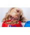 Sticker prénom gamelle chien