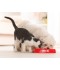 Sticker prénom gamelle chien
