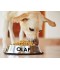 Sticker prénom gamelle chien