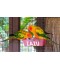 Sticker prénom mangeoire oiseau