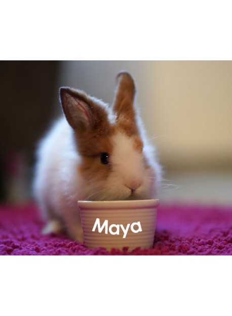 Sticker prénom gamelle lapin