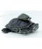 Sticker prénom gamelle tortue