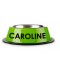 Sticker prénom gamelle tortue