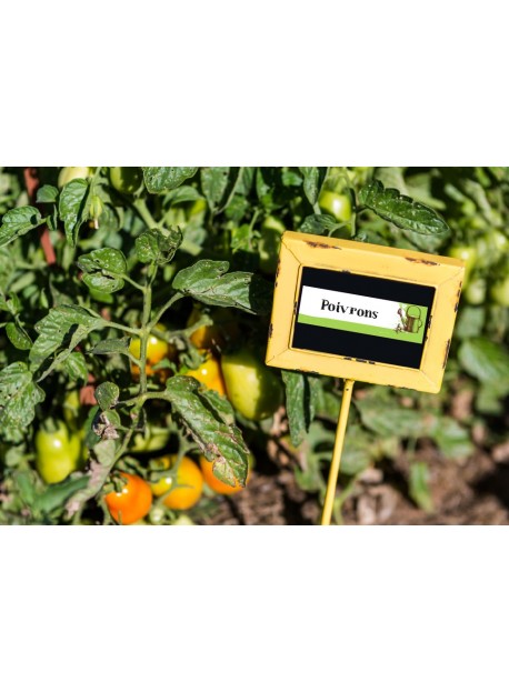Étiquette Poivron graine potager