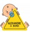 Étiquette personnalisée bébé à bord